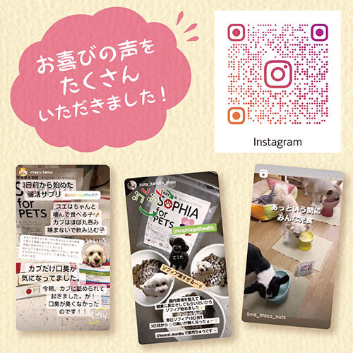 ソフィアペット　３０包入