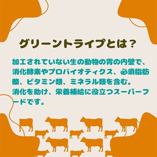 web販売禁止商品　フロンティアペッツ　犬猫用ビーフグリーントライプ　50ｇ