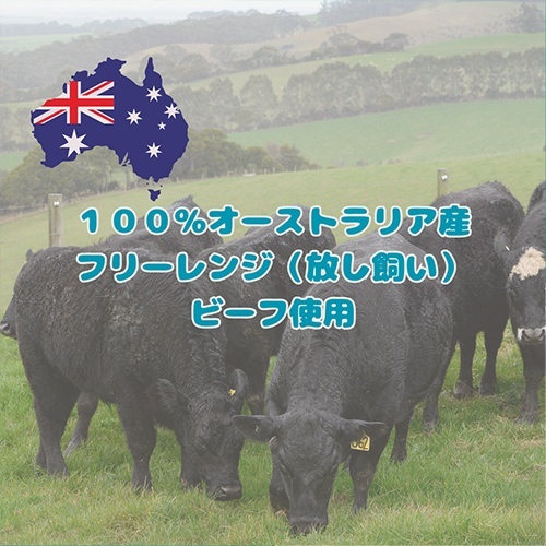 web販売禁止商品　フロンティアペッツ　犬猫用ビーフグリーントライプ　50ｇ