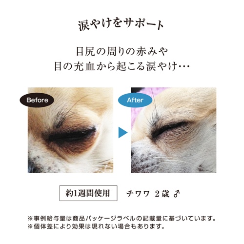 SKIN LIKE A PRINCESS 15g