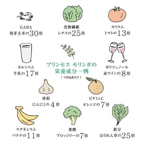PRINCESS MORINGA 300粒