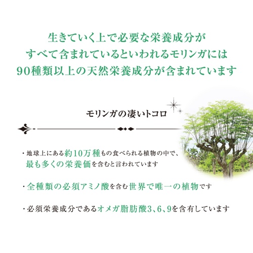 PRINCESS MORINGA 300粒