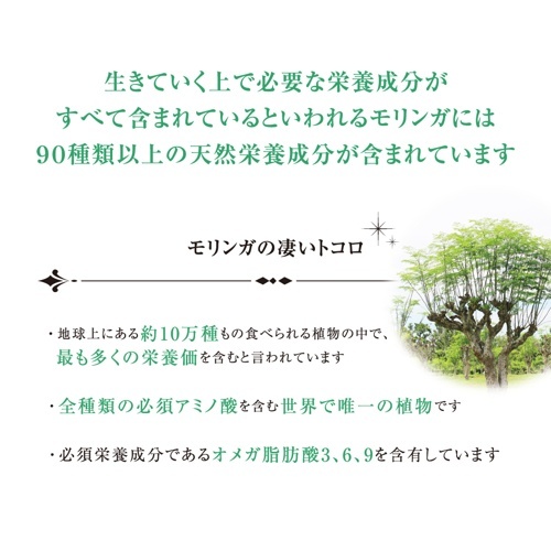 PRINCESS MORINGA 300粒