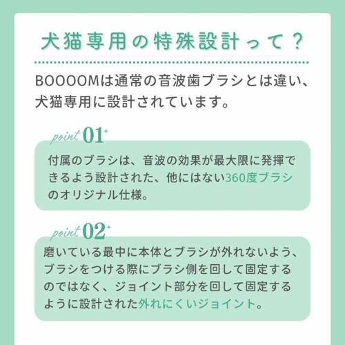 モールサイト掲載禁止商品　電動歯ブラシ　ＢＯＯＯＯＭ　プロ　替えブラシ　