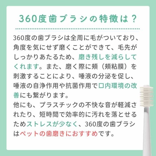 モールサイト掲載禁止商品　電動歯ブラシ　ＢＯＯＯＯＭ　プロ　替えブラシ　