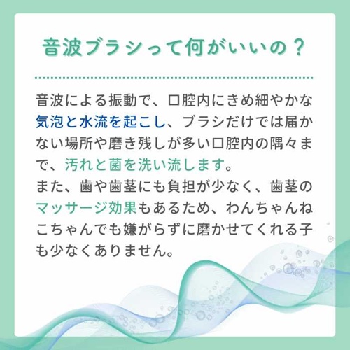 モールサイト掲載禁止商品　電動歯ブラシ　ＢＯＯＯＯＭ　プロ　ブルー