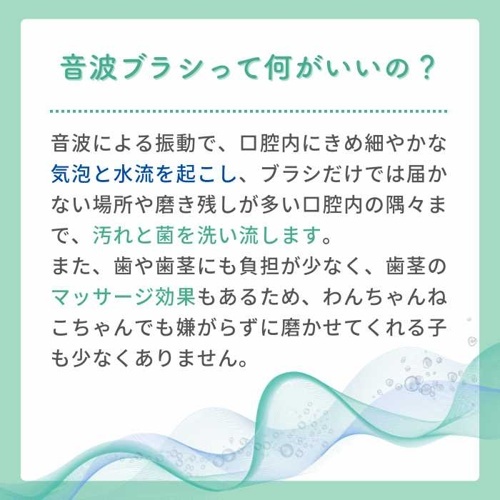 モールサイト掲載禁止商品　電動歯ブラシ　ＢＯＯＯＯＭ　プロ　ブルー