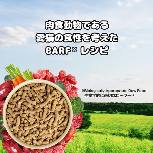 WEB販売禁止商品　フロンティアペッツ　猫用フリーレンジビーフ　100ｇ