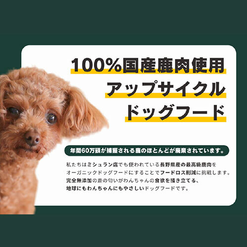 パウ！トライプふりかけ３０ｇ