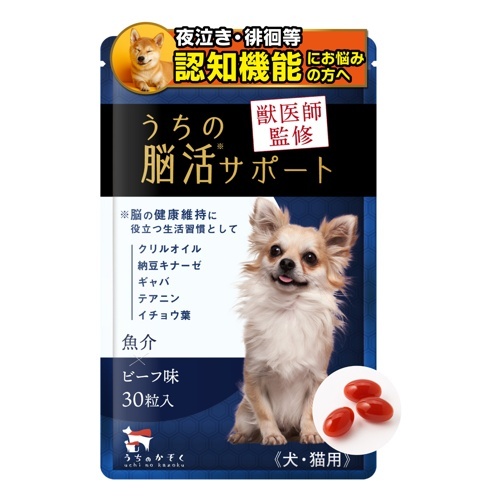 WEB販売禁止　うちの脳活サポート