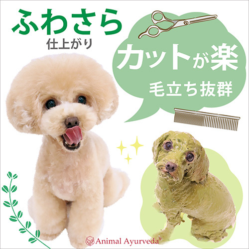 ビューティ＆ヘルスハーブパック１５０ｇ