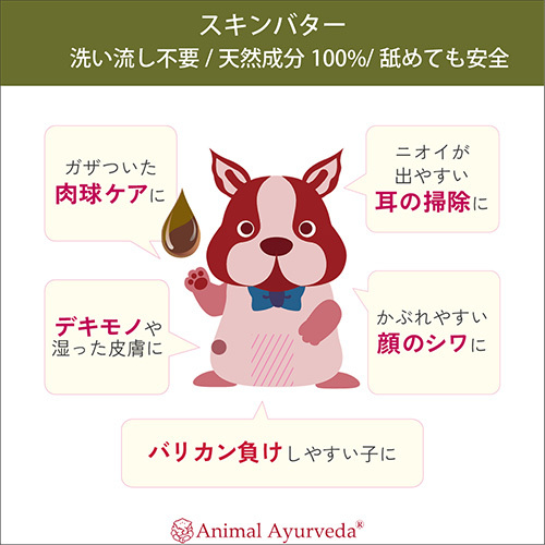 ドクターズスキンバター２０㏄（業務用）