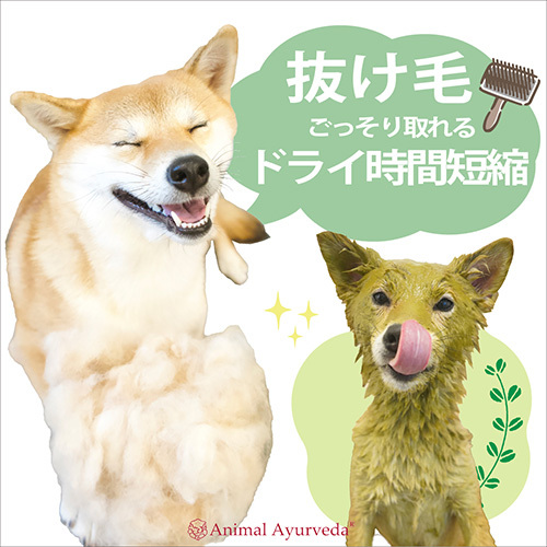 ビューティ＆ヘルスハーブパックお試しキット一回分（ビューティオイル付）