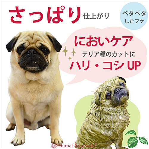 ドクターズヘルスハーブパックお試しキット一回分（ビューティオイル付）（業務用）