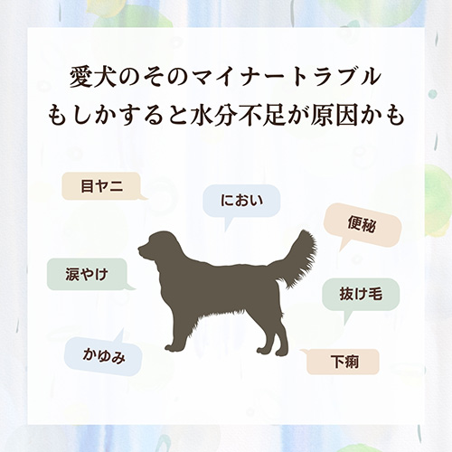 ｲｼｭｶ ﾌﾟﾚﾐｱﾑｳｪｯﾄ 国産濃縮鹿ｽｰﾌﾟ 160g