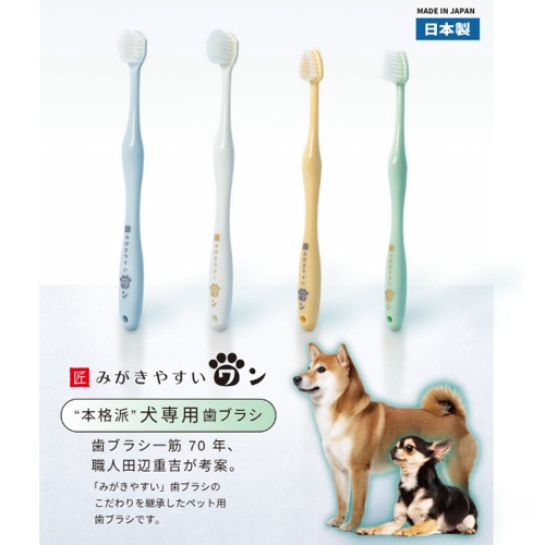 みがきやすいワン　フラット毛　Ｓ