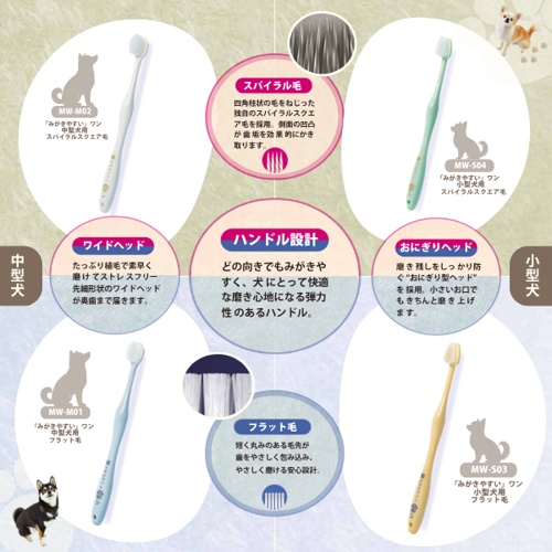 みがきやすいワン　フラット毛　Ｓ