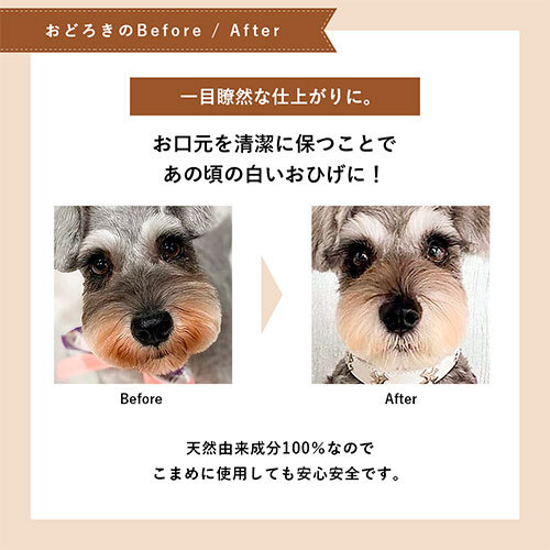 ネット販売要申請　ＡＰＤＣ　おひげ用ナチュラル　ホワイトニング　フォーミングシャンプー詰替