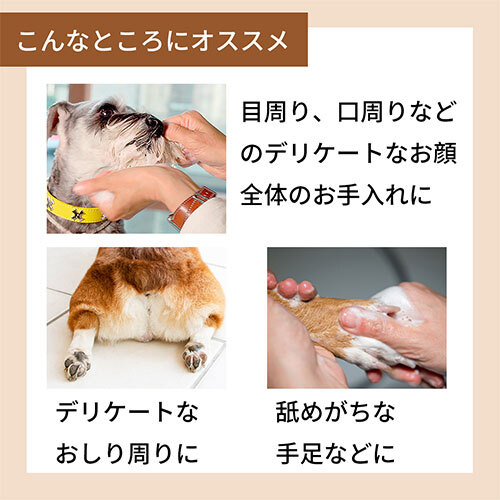 ネット販売要申請　ＡＰＤＣ　おひげ用ナチュラル　ホワイトニング　フォーミングシャンプー詰替