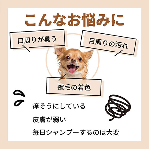 ネット販売要申請　ＡＰＤＣ　おひげ用ナチュラル　ホワイトニング　フォーミングシャンプー詰替