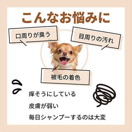 ネット販売要申請　ＡＰＤＣ　おひげ用ナチュラル　ホワイトニング　フォーミングシャンプー詰替