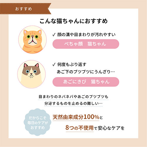 ネット販売要申請　APDC お顔フォーミングソープ 50ml