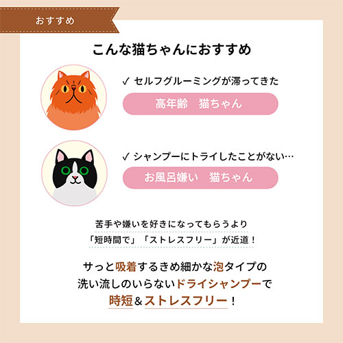 ネット販売要申請　APDC お顔フォーミングソープ 50ml
