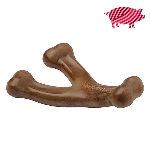 ベネボーン　ウィッシュボーン　ベーコンＳ