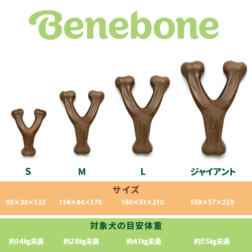 ベネボーン　ウィッシュボーン　チキンＭ