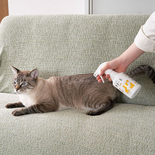 モールサイト掲載禁止　きえ～るＤ　ペット用詰替 1L