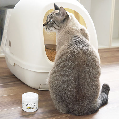 モールサイト掲載禁止　きえーるＤ　ペット用　ゼリー徳用 480g