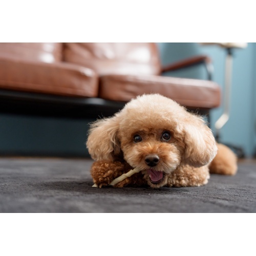 国産牛皮　ロッド