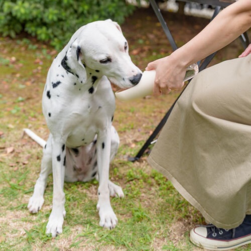 ワンタッチ・浄水ボトル　アイボリー