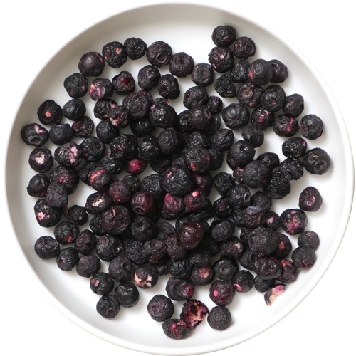 ドッグツリー フリーズドライ ブルーベリー S 5g