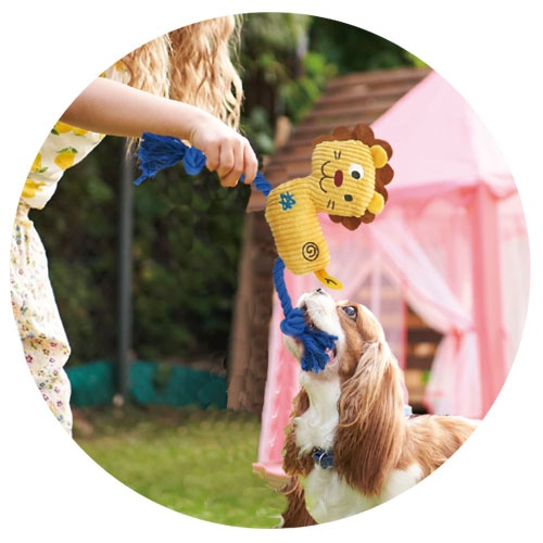 ロープトイ　ライオンさん