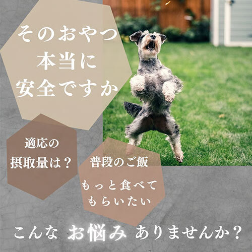 ボンパスト　犬用　サツマイモペースト５ｇ×５本