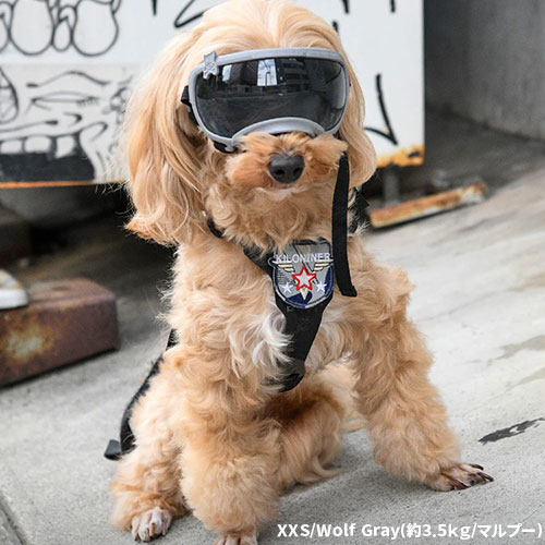 シグネチャーゴーグル　ＸＸＳ　ウルフグレイ