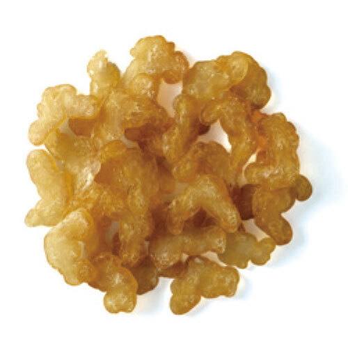 キャットビッツ　鰹のふし 20g