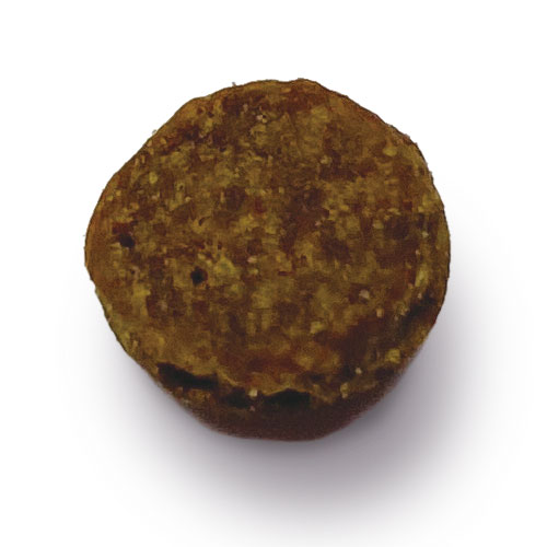 リガロ１０周年！ありがとうセット　子犬成犬用