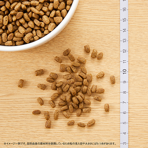 ニュートロナチュラルチョイス　室内猫用　アダルトチキン　400g