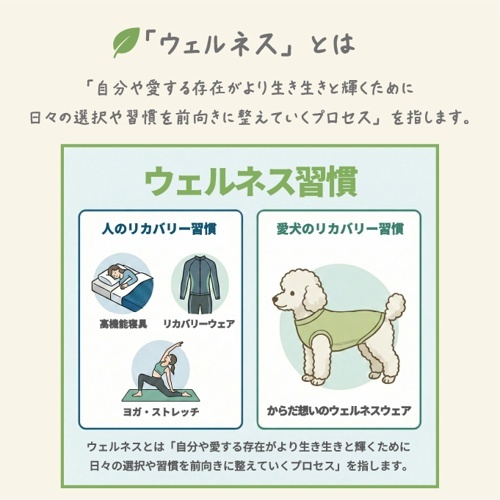 ｳｪﾙﾈｽｳｪｱ ﾛﾝｸﾞﾎﾞﾃﾞｨ ﾌｫﾚｽﾄｸﾞﾘｰﾝ D-XL