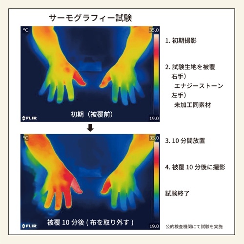 ｳｪﾙﾈｽｳｪｱ ﾛﾝｸﾞﾎﾞﾃﾞｨ ﾌｫﾚｽﾄｸﾞﾘｰﾝ D-XS