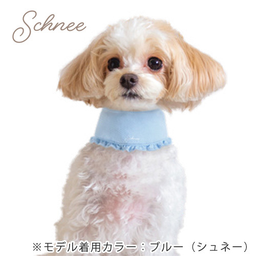 ペット用クールネック　シュネー　ホワイト