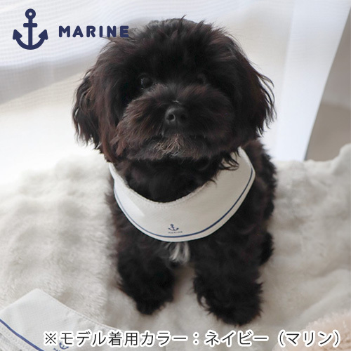 ペット用クールネック　マリン　レッド