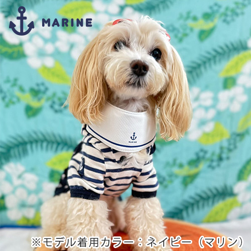 ペット用クールネック　マリン　レッド