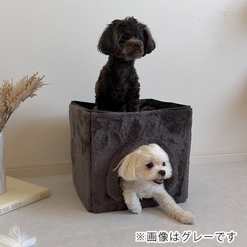 ペットハウス　　Ｈｏｌａｎａ　ブルー