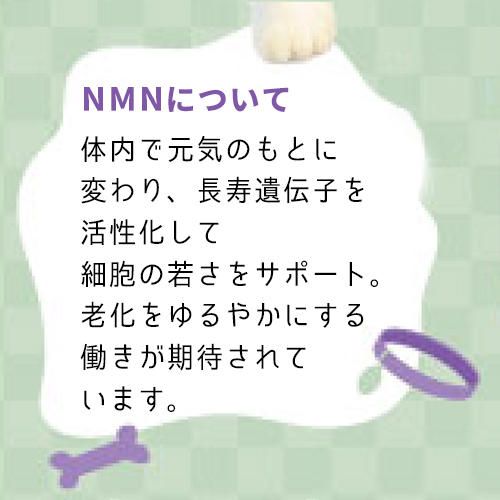 はじめてのＮＭＮサプリ　30本