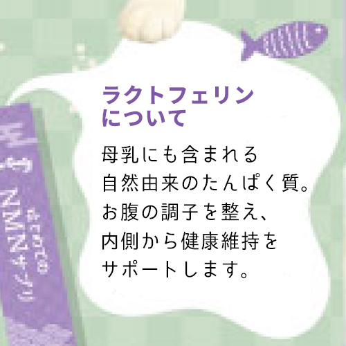 はじめてのＮＭＮサプリ　30本