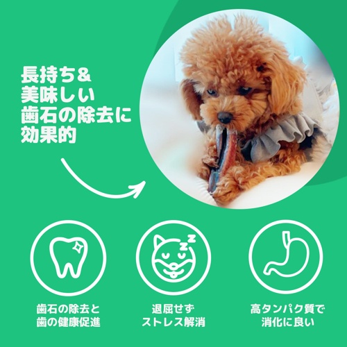 ﾌﾞﾘｰｽﾃｨｯｸﾁｭｰ L 3本入 30cm