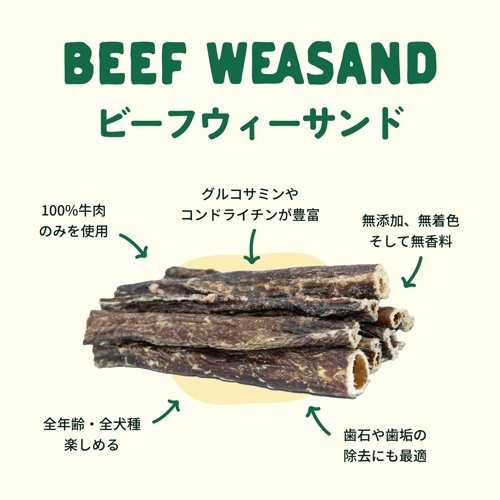 ﾋﾞｰﾌｳｨｰｻﾝﾄﾞｽﾃｨｯｸ L 3本入 30cm